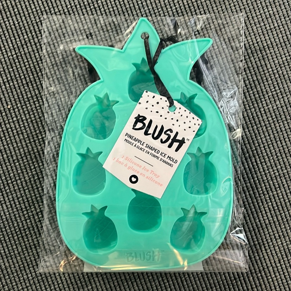 Turquoise silicone pineapple shaped ice mold. Never used and still in packaging!